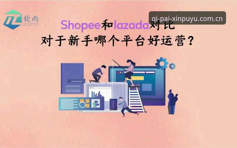 新葡萄最新版本v2.6.0与旧版对比：哪个更适合新手玩家？